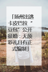 扬州出逃卡皮巴拉“豆包”公开征婚：无须彩礼且有正式编制