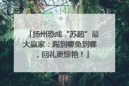 扬州恐成“苏超”最大赢家：踢到哪免到哪，回礼更惊艳！