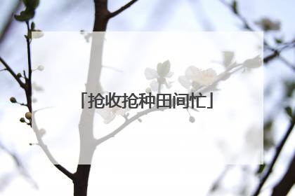 抢收抢种田间忙