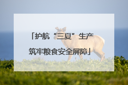 护航“三夏”生产 筑牢粮食安全屏障