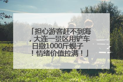 担心游客赶不到海，大连一景区用铲车日撒1000斤蚬子！情绪价值拉满！