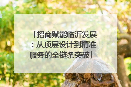 招商赋能临沂发展：从顶层设计到精准服务的全链条突破