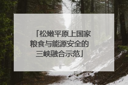 松嫩平原上国家粮食与能源安全的三峡融合示范
