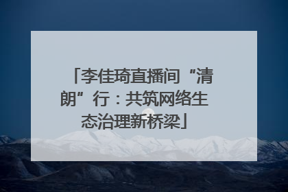 李佳琦直播间“清朗”行：共筑网络生态治理新桥梁