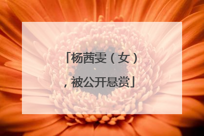 杨茜雯（女），被公开悬赏