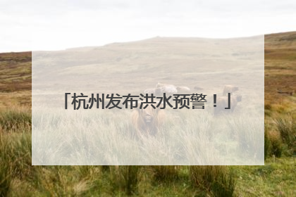 杭州发布洪水预警！