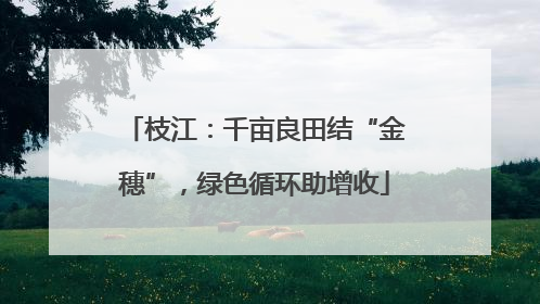 枝江：千亩良田结“金穗”，绿色循环助增收