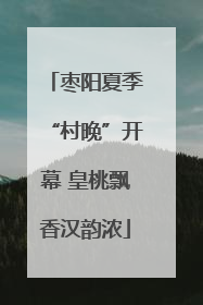枣阳夏季“村晚”开幕 皇桃飘香汉韵浓