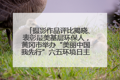摄影作品评比揭晓、表彰最美基层环保人，黄冈市举办“美丽中国我先行”六五环境日主题宣传活动