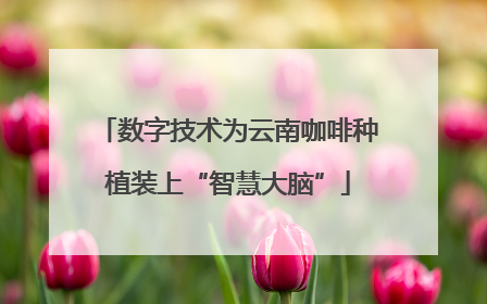 数字技术为云南咖啡种植装上“智慧大脑”