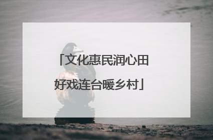 文化惠民润心田 好戏连台暖乡村