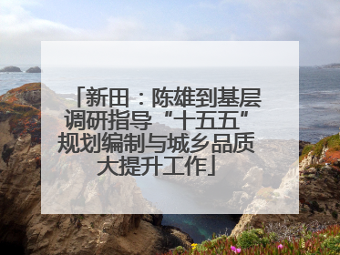 新田：陈雄到基层调研指导“十五五”规划编制与城乡品质大提升工作