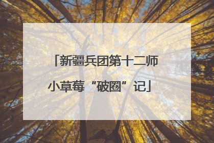 新疆兵团第十二师小草莓“破圈”记