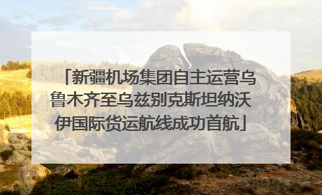 新疆机场集团自主运营乌鲁木齐至乌兹别克斯坦纳沃伊国际货运航线成功首航