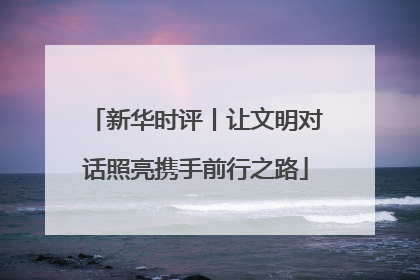新华时评丨让文明对话照亮携手前行之路