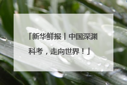 新华鲜报丨中国深渊科考，走向世界！