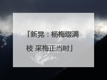 新晃：杨梅缀满枝 采梅正当时