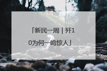 新民一周｜歼10为何一鸣惊人