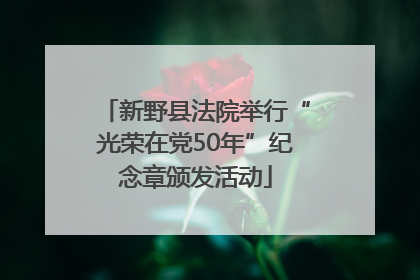 新野县法院举行“光荣在党50年”纪念章颁发活动