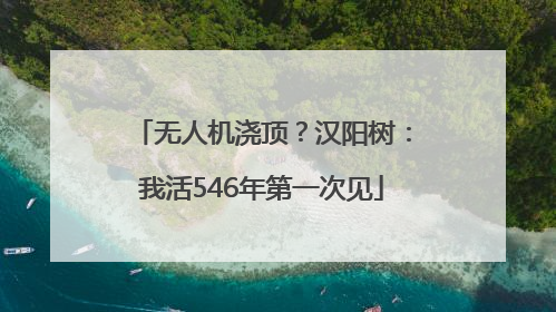 无人机浇顶？汉阳树：我活546年第一次见