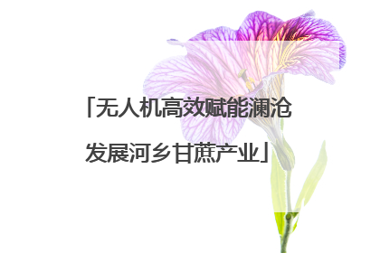 无人机高效赋能澜沧发展河乡甘蔗产业