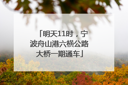 明天11时，宁波舟山港六横公路大桥一期通车