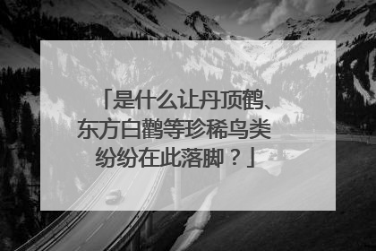 是什么让丹顶鹤、东方白鹳等珍稀鸟类纷纷在此落脚？