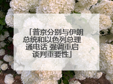普京分别与伊朗总统和以色列总理通电话 强调重启谈判重要性