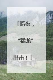 暗夜，“猛龙”出击！