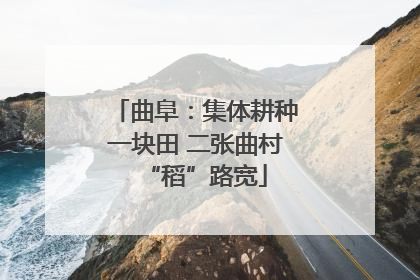 曲阜：集体耕种一块田 二张曲村“稻”路宽