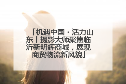 机遇中国・活力山东丨摄影大师聚焦临沂新明辉商城，展现商贸物流新风貌