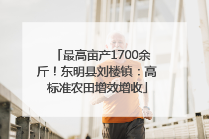 最高亩产1700余斤！东明县刘楼镇：高标准农田增效增收