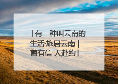 有一种叫云南的生活·旅居云南｜菌有信 人赴约