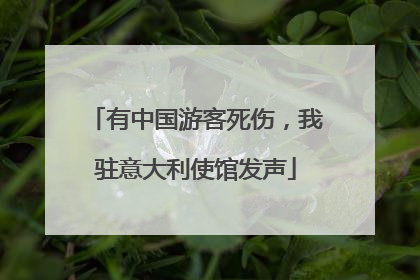 有中国游客死伤，我驻意大利使馆发声