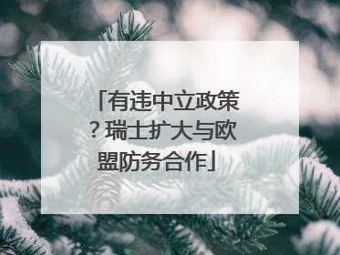 有违中立政策？瑞士扩大与欧盟防务合作