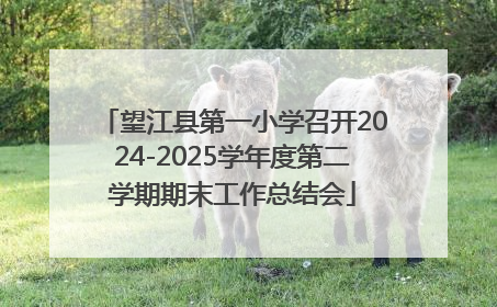 望江县第一小学召开2024-2025学年度第二学期期末工作总结会