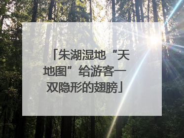 朱湖湿地“天地图”给游客一双隐形的翅膀