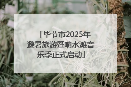 毕节市2025年避暑旅游暨响水滩音乐季正式启动
