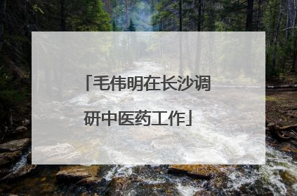毛伟明在长沙调研中医药工作