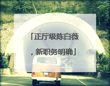 正厅级陈白薇，新职务明确