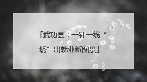武功县：一针一线“绣”出就业新图景