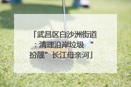 武昌区白沙洲街道：清理沿岸垃圾 “扮靓”长江母亲河