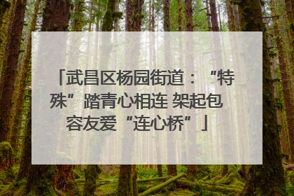 武昌区杨园街道：“特殊”踏青心相连 架起包容友爱“连心桥”