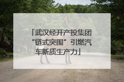 武汉经开产投集团“链式突围”引燃汽车新质生产力