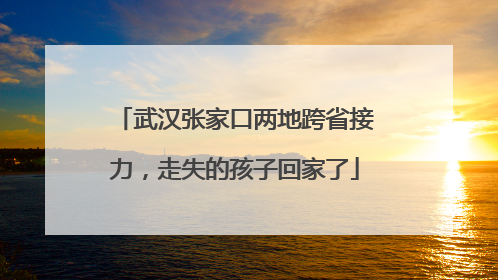 武汉张家口两地跨省接力，走失的孩子回家了