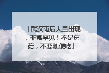 武汉雨后大量出现，非常罕见！不是蘑菇，不要随便吃