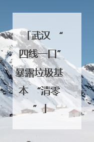 武汉 “四线一口”暴露垃圾基本 “清零”