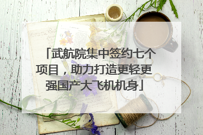 武航院集中签约七个项目，助力打造更轻更强国产大飞机机身