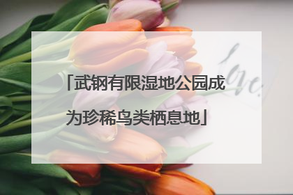 武钢有限湿地公园成为珍稀鸟类栖息地