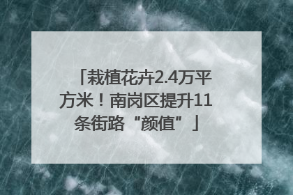 栽植花卉2.4万平方米！南岗区提升11条街路“颜值”
